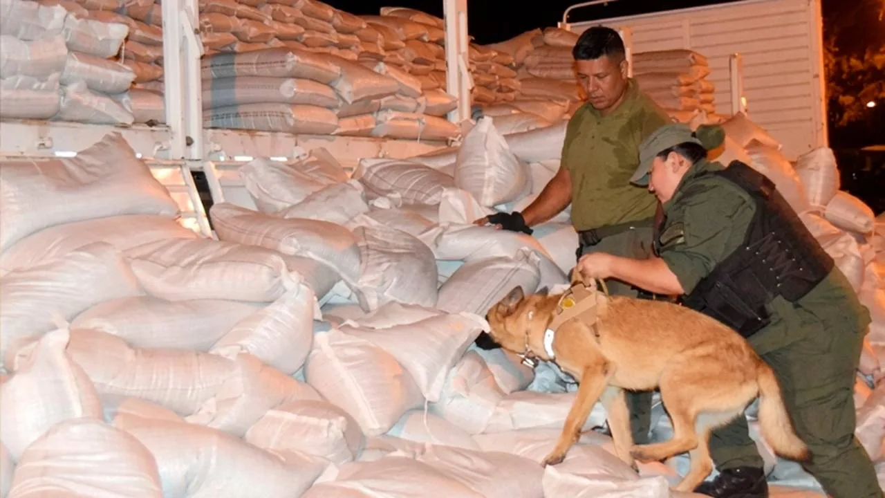 Cargamento incautado en el peaje de General Lagos. Foto: Gendarmería 