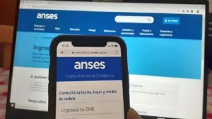 Mi Anses