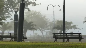 Domingo con neblina y fresco en Rosario: así seguirá el tiempo durante la semana