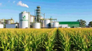 planta bioetanol
