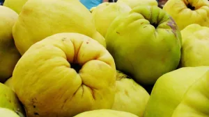 Membrillo
