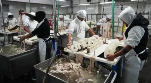 Villa Gobernador Gálvez: trabajadores reabrieron el frigorífico Euro con respaldo gremial