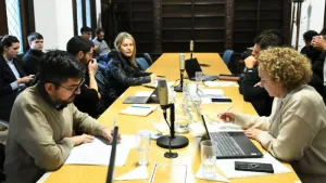 comisión de Gobierno en el concejo