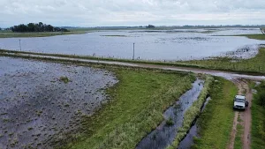 Economía declaró la emergencia agropecuaria en varios departamentos de Santa Fe por inundaciones