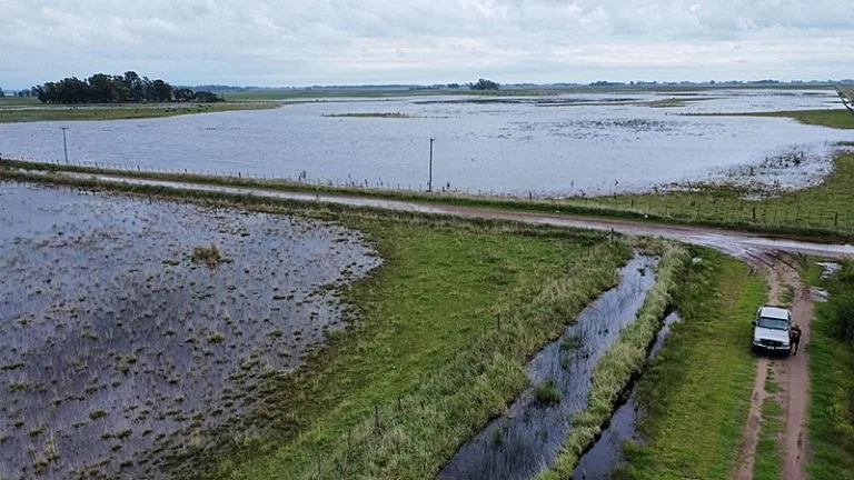 Argentina enfrentará "El Niño" más potente en décadas y ya se prepara para el impacto