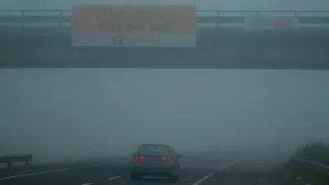 niebla en ruta