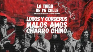 “La tribu de mi calle”: confirman grilla para el festival de homenaje al Indio Solari en Rosario