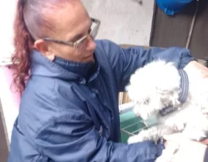 Agentes municipales rescataron a un caniche en estado de abandono y a la intemperie en el techo de una casa