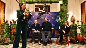 La diputada provincial Sofía Galnares