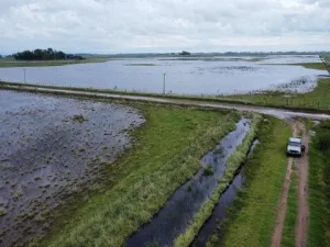 Economía declaró la emergencia agropecuaria en varios departamentos de Santa Fe por inundaciones