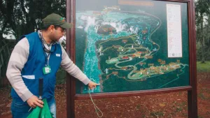 Motosierra sin fin: el gobierno de Milei oficializó un régimen de retiro voluntario en Parques Nacionales y pone en riesgo su funcionamiento