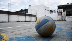 Pelota de voley
