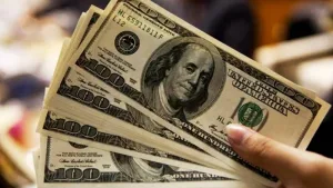 Dólar Billetes