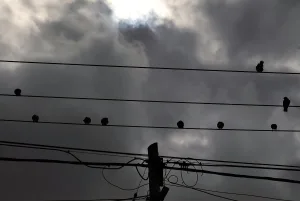 Tiempo en Rosario: el viento se da vuelta, llueve, truena y se despide la primavera adelantada
