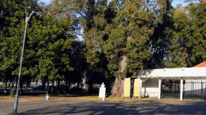 Búsqueda de Micaela Albornoz: encontraron prendas en el laguito del Parque Independencia