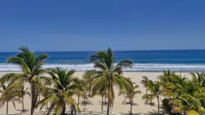 Los Cabos: donde el desierto abraza el Mar de Cortés