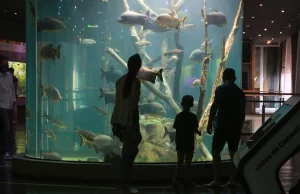 Vacaciones Copadas en el Acuario: el río Paraná, protagonista de una agenda para toda la familia