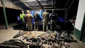 Caza ilegal en el norte santafesino: tres aprehendidos y 24 patos secuestrados