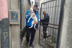 Maltrato animal: agentes municipales rescataron una perrita que estaba a la intemperie y atada con una cadena corta