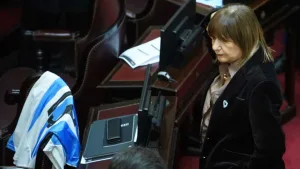 Congreso: senadores libertarios celebraron el triunfo de la Selección con camisetas en cada banca