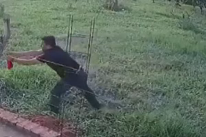 Es el terror del tender: nadie duerme tranquilo en un pueblo de Misiones por culpa del roba bombachas