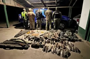 Detectaron cazadores franceses sin licencia en Fortín Olmos y decomisaron 16 toneladas de pesca ilegal en Fray Luis Beltrán y Granadero Baigorria