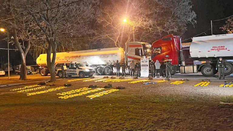 Imputaron a dos camioneros que transportaban casi 400 kilos de cocaína por la ruta nacional 34