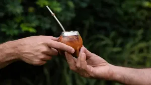 Descubren en el mate posibles propiedades neuroprotectoras frente al Parkinson