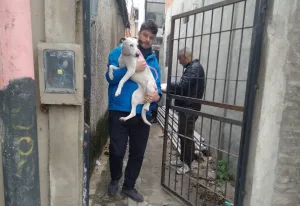 Maltrato animal: rescataron una perrita que estaba a la intemperie y atada con una cadena corta