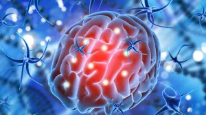 Glioma: a quiénes afecta y cómo se trata este tumor cerebral