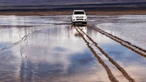 Ingresó con su Hilux a una zona prohibida en San Juan y provocó daños que podrían tardar un siglo en recuperarse