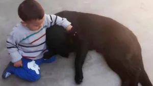 Un Bebe con su perro