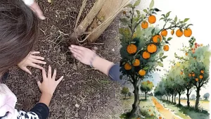 Pueblo Esther se Planta: la movida comunitaria para crear un corredor verde y bicisenda en el canal
