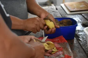 La Utep presentó un pedido ante el Ejecutivo para que se trate la Ley de Cocineras Comunitarias