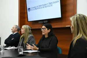 Ya hay un proyecto de ley provincial que previene y sanciona el hostigamiento para cobrar deudas en mora