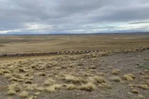 Este jueves 6 de agosto habrá una marcha en Rosario en rechazo de la ley de extranjerización de tierras