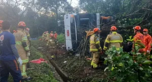 Tragedia en Brasil: volcó un micro con turistas y murieron diez personas