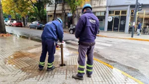 A tener en cuenta: desvíos momentáneos en el transporte urbano en calle Laprida al 1300 y 1400