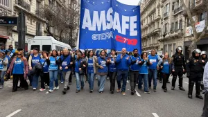 Amsafe gremio docente