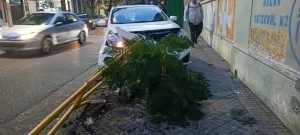 Perdió el control mientras intentaba ponerse el cinturón y chocó contra una escuela