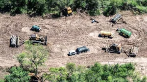 desmonte en bosques del chaco