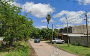  Zona noroeste: escucharon una detonación y encontraron a un perro muerto en la calle