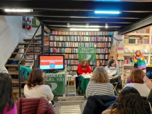 Presentaron un informe sobre salud sexual en el norte de Santa Fe: el 80% no sabe dónde acudir si necesita un aborto