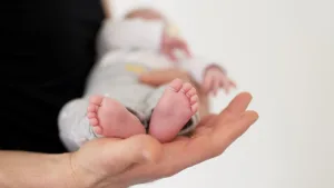 Especialista cruzó a Milei y desmintió que el aborto cause la baja de natalidad