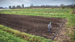 Cooperativas Federadas: del rechazo a la extranjerización al debate por un nuevo modelo rural