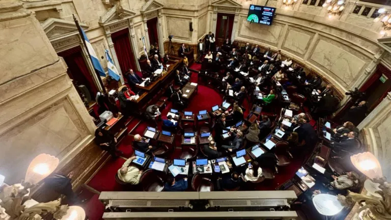 Senado: media sanción a la Ley de Propiedad Privada, pero sin Tierras ni Manejo del Fuego