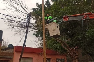 Hubo ráfagas de hasta 75 km/h y llovieron 50 milímetros en Rosario: 80 reclamos por anegamientos, árboles, columnas y 3 voladuras