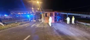 Caos en el tránsito: volcó un camión con ganado en Circunvalación y hay cinco detenidos por faenar vacas