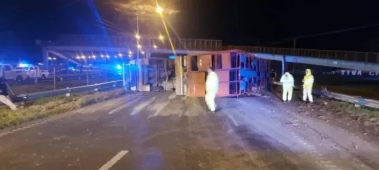 Caos en el tránsito: volcó un camión con ganado en Circunvalación y hay cinco detenidos por faenar vacas