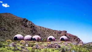 Mendoza primer mundo: estancia de magnates enciende polémica por extranjerización de tierras